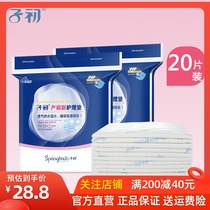 First pregnancy maternity nursing pad Disposable sheets Maternal postpartum supplies Birth mattress pad menstrual pad Nursing pad 20 pieces