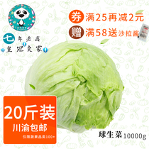 Fresh vegetables Round lettuce salad vegetable ball lettuce Western salad vegetable pancake dish 20 pounds of catering whole piece