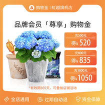 (Shopping gold) Hongyue flagship store exclusive benefits purchase store general 500 to 520 1000 to 1050