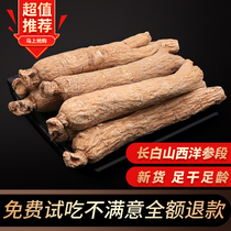 Authentic American ginseng section pruning northeast Changbai Mountain Huaqi section Super bulk whole branch western sheep ginseng root