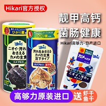 High enough turtle grain grass turtle Brazilian tortoise feed yellow edge hair color good jade fungus three-color base razor sinking egg turtle grain