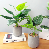 Green Plant Office Simulation Plant Pot Green Turtle Back Leaf Fake Flower Hotel Living Room Decorated Green Pot View