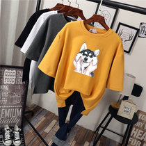 plus size womens summer clothing 2022 new short sleeve t-shirt for fat women chubby girl belly cover bottoming shirt yang chi