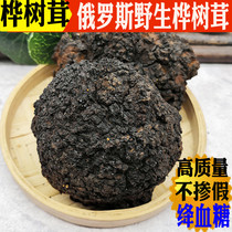 Birch Furry Russia Imports Wild Special Class 1 Jin Natural Insulin Birch Brown Pore Fungus White Birch Tea