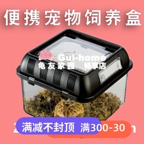 Tortoise tank reptile feeding box Spider box pet lizard beetle snail Guangrong horned frog silkworm baby feeding box