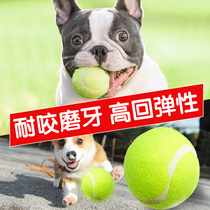 Dog tennis Pet training toy Teddy cat toy training High-elastic tennis bite-resistant large medium and small dogs molar teeth