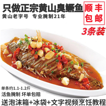 3 strips 1 1-1 2kg smelly mandarin fish Anhui specialty Huangshan smelly cinnamon fish vacuum Huizhou pickled aquatic products