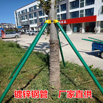 Galvanized tree support frame Steel pipe Tree support holder Landscaping set cup seedlings tied rod stick