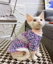 Cream is only hairy cat Devin Sfinx Pets Kitty Small Flowers Pure Cotton Clothes Reworked Custom