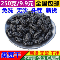 Bo-Bai-fresh mulberry dried black mulberry special new mulberry fruit wine wine Mulberry dry snack without sand Mulberry