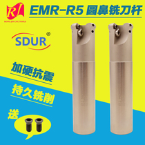 Aegis sharp SDUR SDUR round nose R5 milling tool Rod EMR CNC end mill RPMW1003 hardened Open rough CNC flying milling cutter