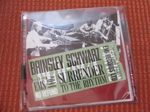 English Edition Surrender to the Rhythm Brinsley Schwarz