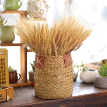 Natural wheat dried flower bouquet dog tail rabbit tail rabbit tail grass shooting props costume shop window opening decoration decoration