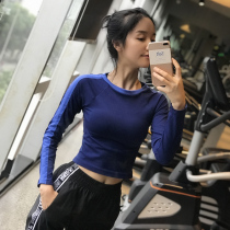 Autumn New Dew Navel Sport Blouse Women Breathable Speed Dry Running Long Sleeve Gym Gym Yoga Suit T-shirt Thin Sexy