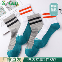 ab underwear cotton thickens hair coil antibacterial anti - odor fourth season sweating and breathable ladies sports leisure stockings AB 26