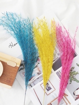 Pink Blue Reed dried flower photo props ins Wind pendulum shooting background ornaments small ornaments Net red photography photo decoration gourmet cake baking nail Valley beauty match set