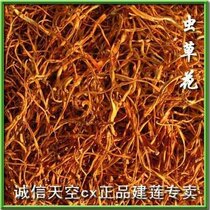 Cordyceps sinensis fruiting body Golden Cordyceps militaris 150g scattered name dry goods Fujian Wuyishan Shaowu specialty