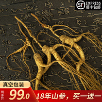 (Buy one get one free)Ginseng Changbai Mountain Wild Mountain Ginseng 18 years old Forest Mountain Ginseng Laoshan Ginseng Northeast specialty dried ginseng