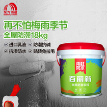 Oriental rainbow waterproof coating All-house moisture-resistant pulp home basement anti-seepage water-resistant quick-drying and high-alkali resistance