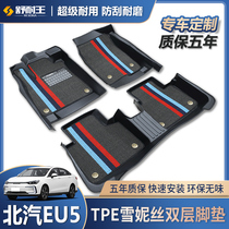 Specialized BAIC New Energy EU5 EU260 EU300 D50TPE fully enclosed car mat 18-20 models