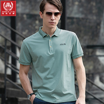 Pure Color Short Sleeve T-Shirt Male Youth Sports Casual Summer Dress New Middle Aged Ice Silk Shirt Collar Polo Shirt