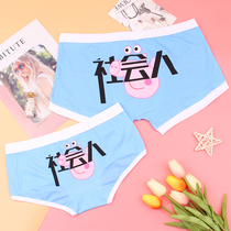 Couple underwear cotton cute cartoon pig male flat corner female triangle middle low waist creative social personality underwear