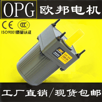 OPG European Motor 2IK6GN-C 2RK6GN-C 2RKR6GN-C 2IK6RGN-C