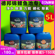 Debang universal potion 5L bactericidal water deodorant fish tank water purifier Koi nitrifying bacteria fish pond special for fish pond