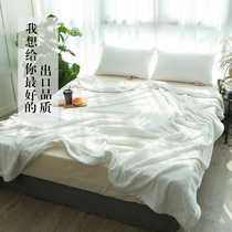 Blanket pure white short plush sheets thickened warm coral flange sofa cover blanket single double autumn and winter