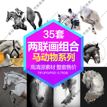 Decorative painting core HD Gallery Black Horse white horse riding gold foil two-joint painting combination electronic picture design material