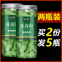 Mint leaf dry fresh edible chewing bubble water tea cool mouth chewy dried chewy mint tea refreshing lotus leaf