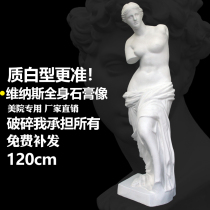 1 2 meters full body Venus plaster statue ornaments large sculptures Decorative statues European characters Art teaching aids