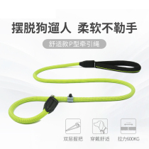 Pet Traction Rope Dog Rope P Chain Small Dog Kirchai Dog Gold Wool Explosion Protection of Large Dog Walking Dog Teddy