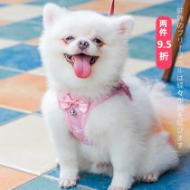 Teddy Bou Beauty Bibear Dog Traction Rope Chest Harness Vest Style Walk Dog Rope Dog Chain Sub Puppies Small Dog Supplies