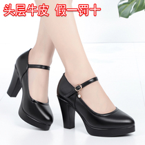 Cheongsam model catwalk shoes womens high-heeled waterproof table coarse heel single shoes large size leather work womens shoes