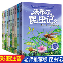 All 10 volumes of Fabre Insects full volume of childrens version of primary school students first second and third grade extracurricular reading must-read books
