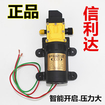 Household 12v water pump electric sprayer diaphragm pump mini car wash water pump household 220V high pressure self-priming pump