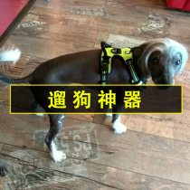 Upscale pet chest braces anti-explosion punching large small and medium dog puppies Chest Strap Despasta Morashige Fur