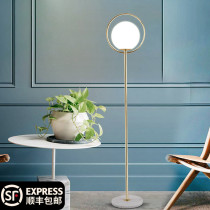 Minimalist light luxury Nordic floor lamp ins Gold remote control net red Bedroom bedside living room Sofa vertical lampstand lamp