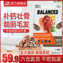 ten thousand Summer Dog Foods Universal 20 Catty Teddy Golden Hair Haschibou Beauty pooch pooch Breed Puppies 10KG