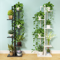 Multifunctional green radish hanging orchid shelf living room bedroom steel wood flower stand multi-layer indoor special wrought iron flower stand floor