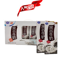 Shaanxi specialty Yinqiao Black Valley Milk Breakfast Cereal Milk 250ml * 12 Boxes of Nutritious Milk Grain Dairy