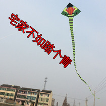 Bamboo Leaf Green Kite Snake 12 meters long Good quality and beautiful outdoor kite youth adult kite bag fly