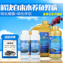  Xizun nitrifying bacteria Aquarium digestion bacteria Fish tank Arowana yogurt probiotics Vitality vegetarian clean water stable vitamins