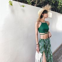 Hot spring bathing suit Net red take pictures to look good to wear a skirt to the beach Hot spring clothing Female swimsuit leg cover swimsuit