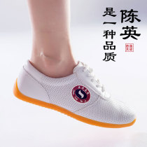 Chen Ying Quankong Tai chi shoes Spring and summer cow tendon bottom cowhide leather Mens and womens martial arts sports shoes practice kung fu shoes