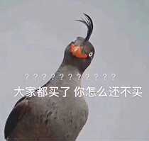 Postage Miscellaneous Fees Other Supplementary Shots