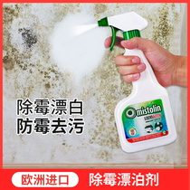 European white wall mold remover cleaning and decontamination wall mold mold mold removal mold mold mold removal anti-mold artifact household