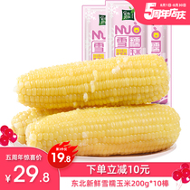 Fresh snow glutinous corn Northeast whole grain corn vacuum meal replacement sticky corn bracts Sweet white corn 10 packs
