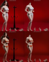 Spot TBLeague PLLB2020-S38A S39A 1 6 packs of plastic PH plump female body